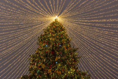 Moskova 'daki Manezhnaya Meydanı' nda geceleyin aydınlanan büyük Noel ağacı..