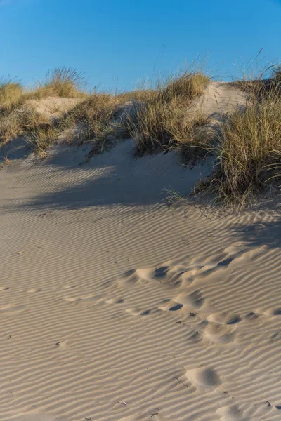 Sand Dunes on the Beach. Footprints in the sand. — Stock Photo, Image