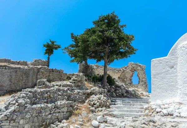 Monolithos şatosunun yıkıntılarında bir ağaç. Rhodes Adası. Yunanistan - Stok İmaj