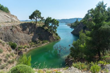 Su basmış ağaçları olan güzel bir dağ gölü. Manzara. Rodos. Yunanistan