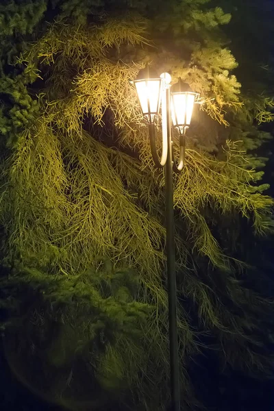 iki vintage tonları ile sokak lambası 