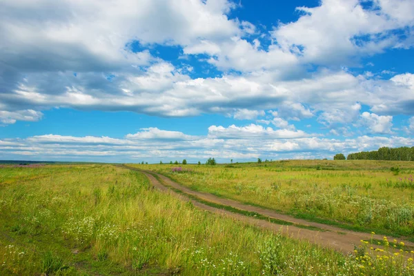 Caminho de campo verde e céu nublado — Fotografia de Stock