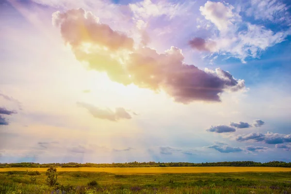 Cielo nuvoloso e il sole sul campo — Foto Stock