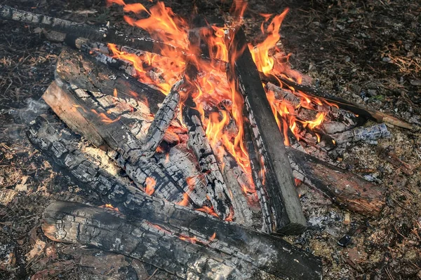 Queima de fogueira de madeira — Fotografia de Stock