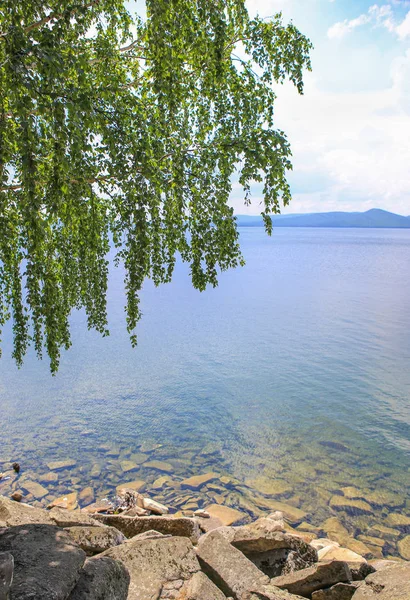 Björk med sjön och bergen — Stockfoto