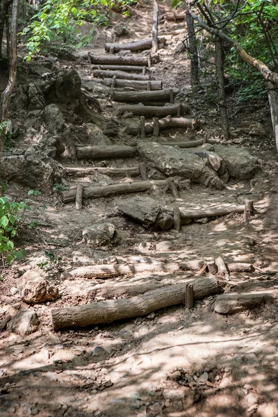 Caminhos florestais até pedras — Fotografia de Stock