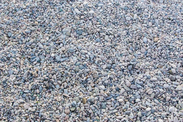 Sten på kusten — Stockfoto