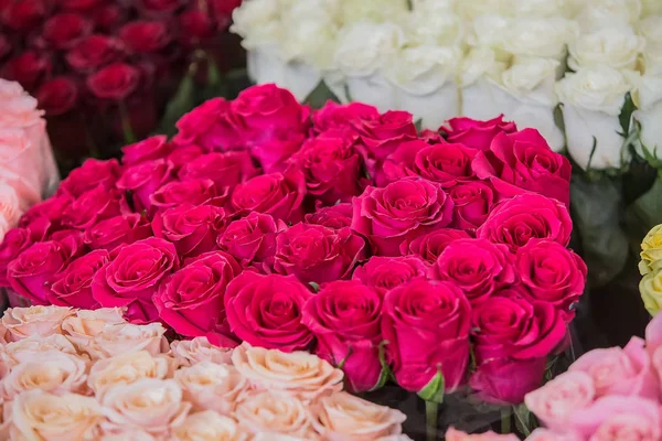 Buketter av rosor i olika färger — Stockfoto