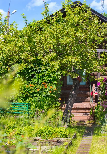 Houten huis met bloeiende tuin — Stockfoto