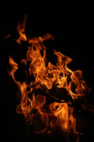 Hořící Březové dřevo — Stock fotografie