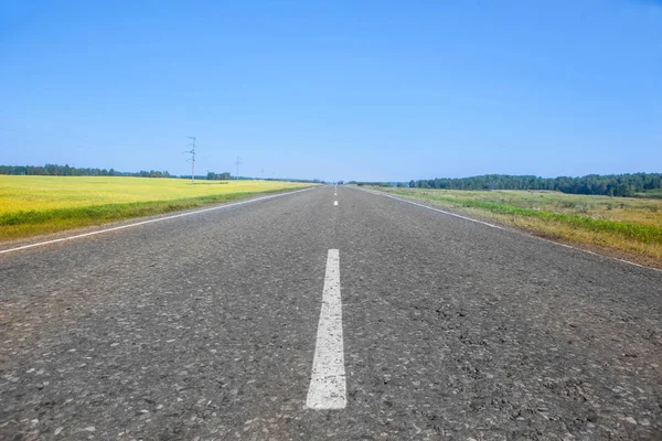 Estrada de asfalto ao longo dos campos de verão — Fotografia de Stock