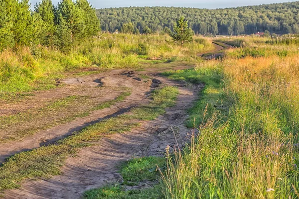 Landschap met onverharde weg veld en bos — Stockfoto