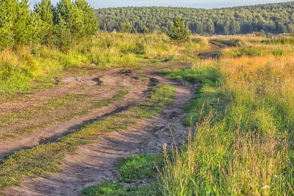 Paesaggio con campo sterrato e bosco — Foto Stock