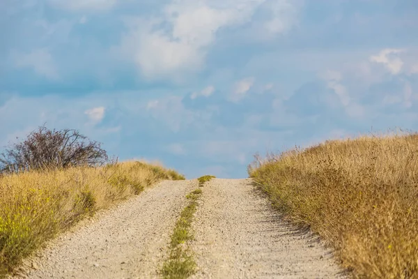 Beau Paysage Automnal Avec Champ Ciel Chemin Terre Partant Horizon — Photo