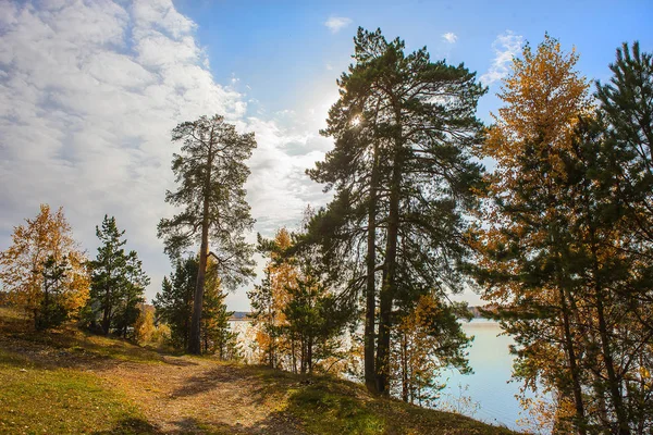 Güz manzarası ve gölde ağaçlar — Stok fotoğraf