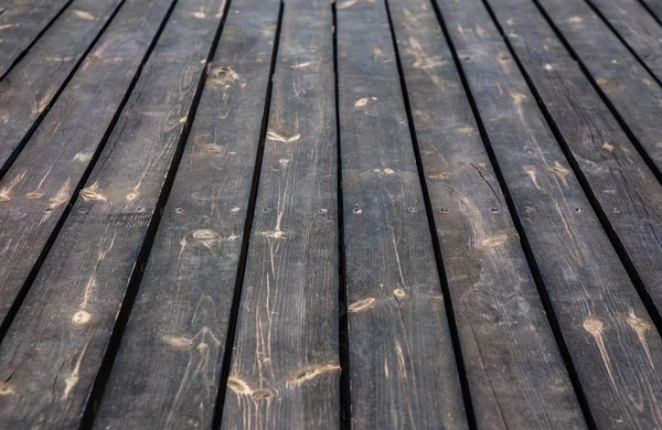 Zwarte dennenbomen achtergrond — Stockfoto