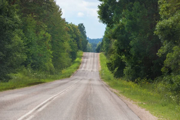 Road in the summer forest — Stock Photo, Image