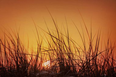 Turuncu gökyüzünde yaz günbatımı