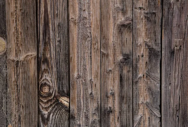 Old faded pine boards — Stock Photo, Image