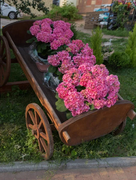 Decorative flower pot stylized as an old cart in the lawn — Stock Photo, Image