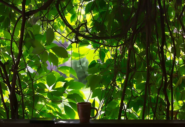 Coffee mug and telephone against the backdrop of sunlit leaves. — Stock Photo, Image