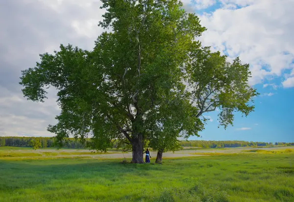 Ragazza Prato Verde Sotto Grande Albero Guarda Fiume Foresta — Foto Stock