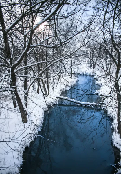 Vinterlandskap Med Flod Och Träd Snön Vid Solnedgången — Stockfoto