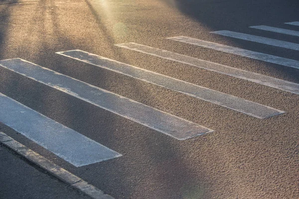 Zebra Het Asfalt Van Een Voetgangersoversteek Verlicht Door Zon — Stockfoto