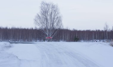 Crossroads in winter in the snow on a country highway in a birch forest