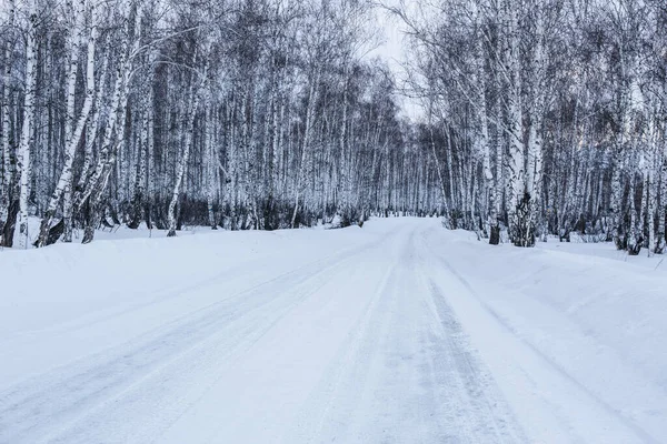 Cenário Estrada Nevada Uma Floresta Vidoeiro Inverno — Fotografia de Stock