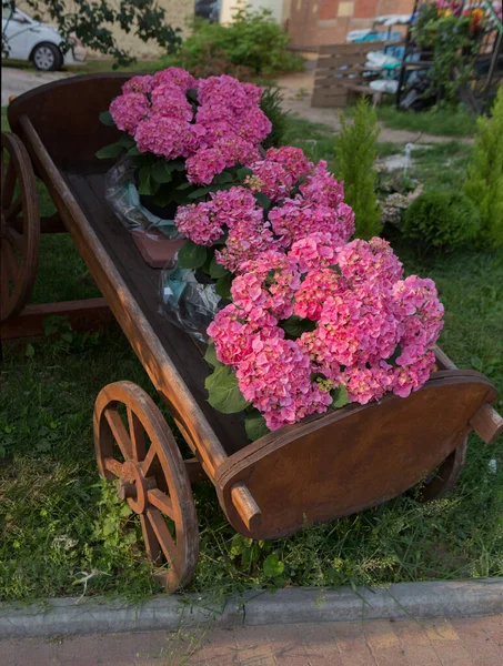 Decorative Flower Pot Stylized Old Cart Lawn Yard — Stock Photo, Image