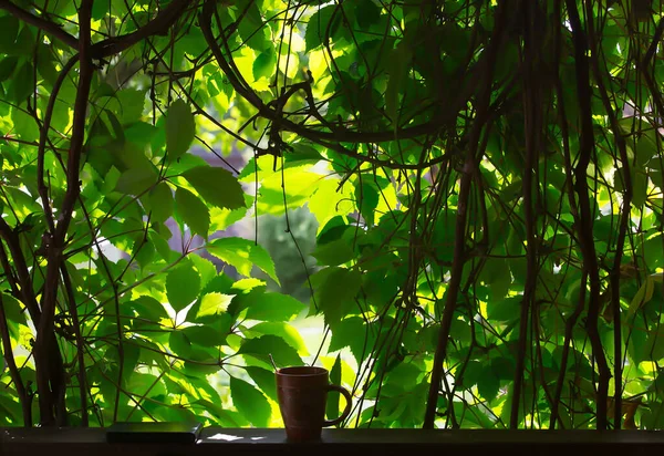 咖啡杯和电话在栏杆上 在阳光照射的树叶的背景下 夏日里的早茶 — 图库照片