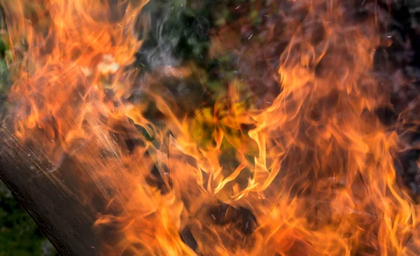 Égő Táblák Fényes Lángon Közelkép — Stock Fotó