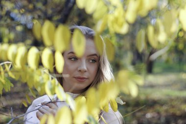 Sarı yaprakların arasında güzel, uzun sarı saçlı bir kız.