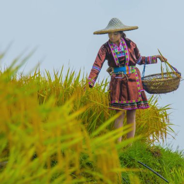 amitaious duygular miao milliyet