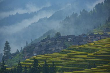 amitaious duygular miao milliyet