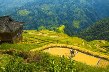 amitaious duygular miao milliyet