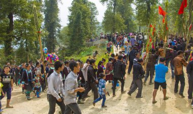 amitaious duygular miao milliyet