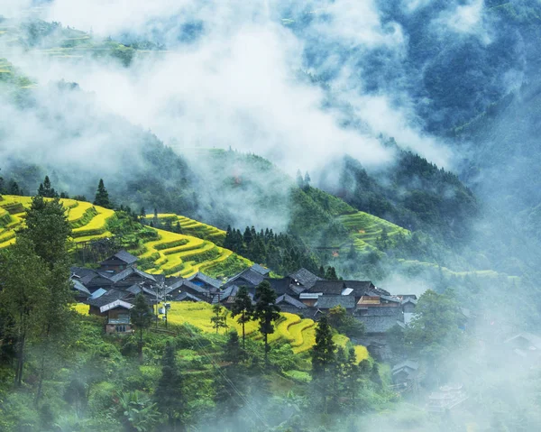 amitaious duygular miao milliyet