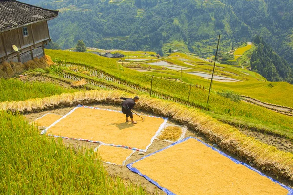 amitaious duygular miao milliyet