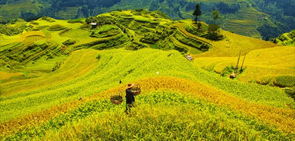 Festival of Miao Nationality — Stock Photo, Image