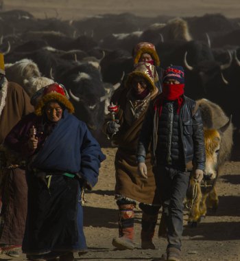 Qinghai Tibet Yaylası Avalokiteshvara Festival