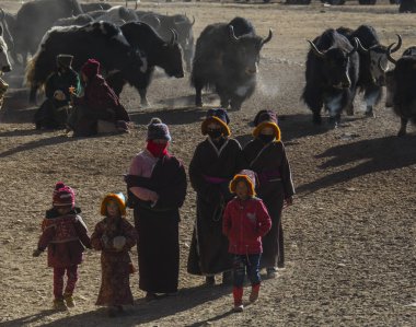 Qinghai Tibet Yaylası Avalokiteshvara Festival