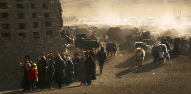Qinghai Tibet Yaylası Avalokiteshvara Festival