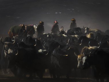 Qinghai Tibet Yaylası Avalokiteshvara Festival
