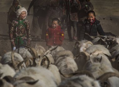 Qinghai Tibet Yaylası Avalokiteshvara Festival