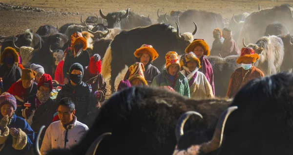 Qinghai Tibet Yaylası Avalokiteshvara Festival