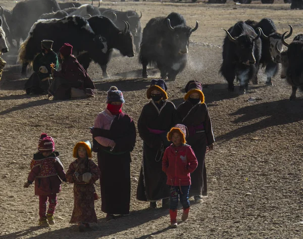 Qinghai Tibet Yaylası Avalokiteshvara Festival