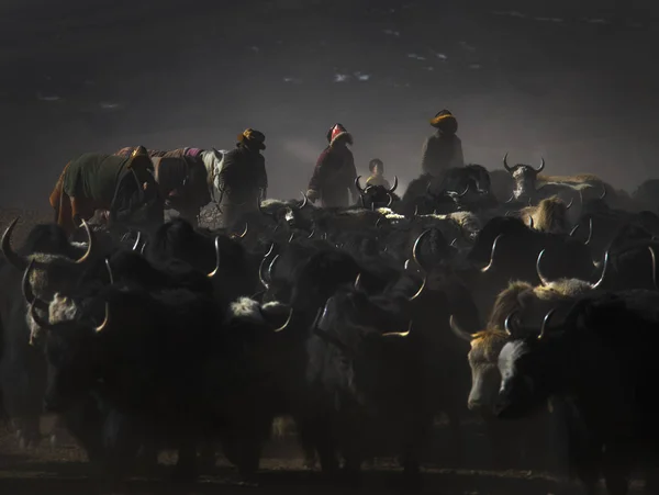 Het Avalokiteshvara Festival op het Qinghai-Tibet-Plateau — Stockfoto