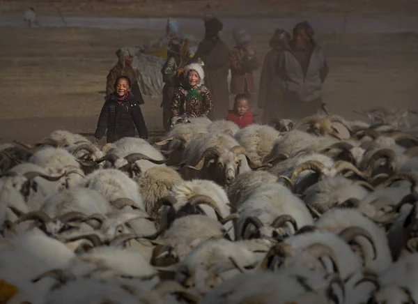 Het Avalokiteshvara Festival op het Qinghai-Tibet-Plateau — Stockfoto